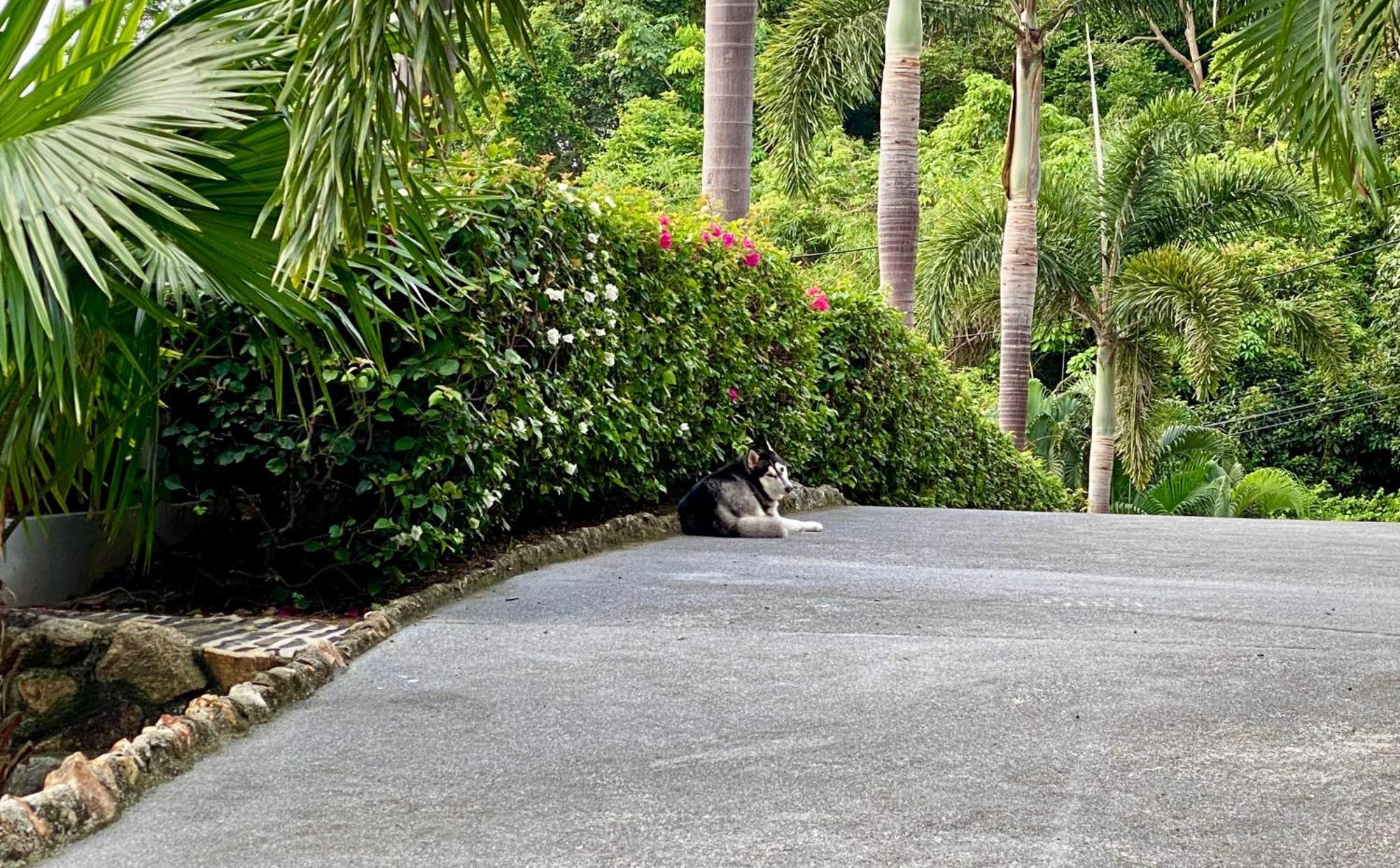 Ko Samui Seaview Pool Villa Seren With Car Laem Set Beach Exterior photo